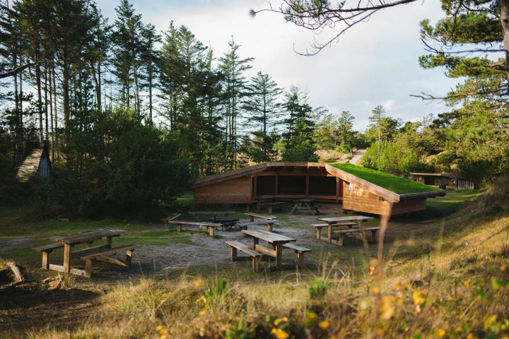 Nyt shelter i Nationalpark Thy