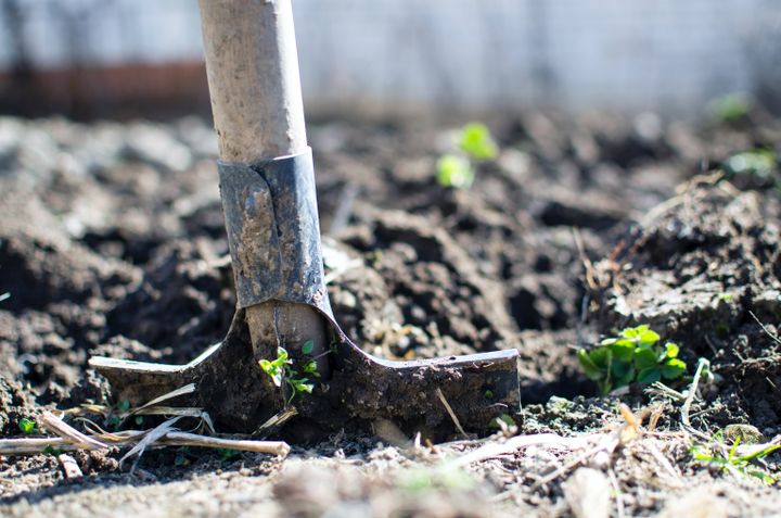 Efteråret byder på lun og fugtig jord, der giver optimale vilkår for at plante. Foto: PR.