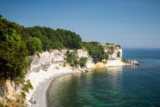 Stevns klint
